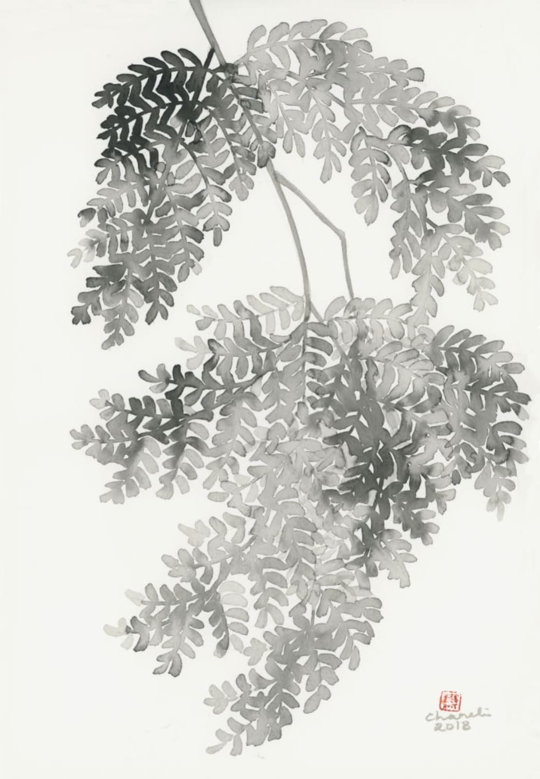 Chameli Ramachandran, Untitled, 2018