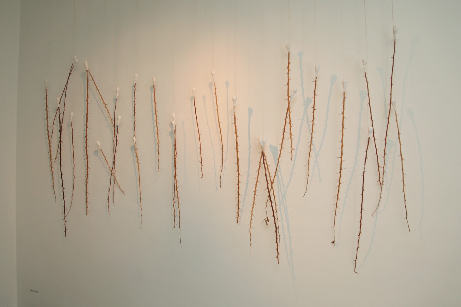 B.V. Suresh, Chronicles of Silence (Khamoshi ki Daastan), 2015