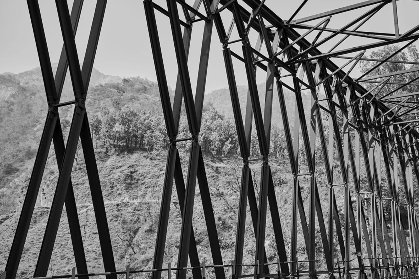 Vicky Roy, Untitled, 2016