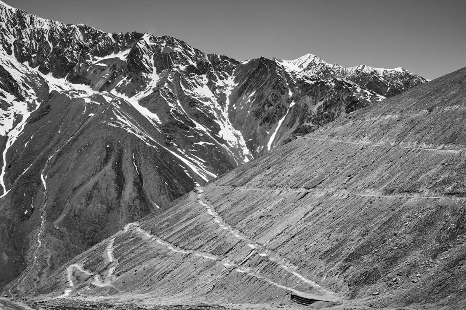 Vicky Roy, Untitled, 2016