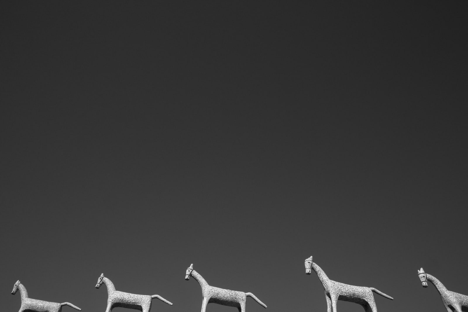 Vicky Roy, Rock Garden of Chandigarh,Punjab and Haryana, 2019