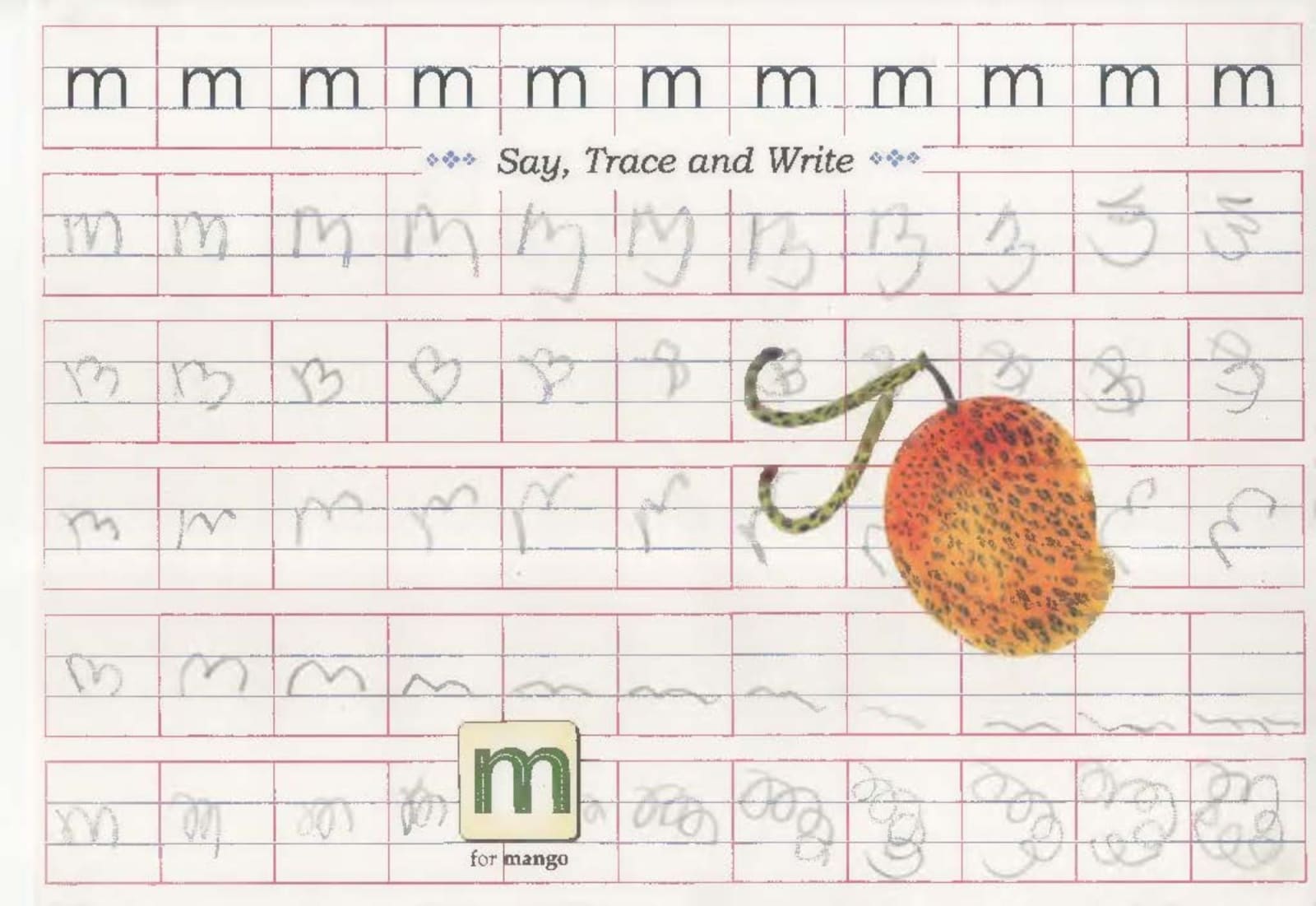 Aruna Rao, Say,Trace and Write