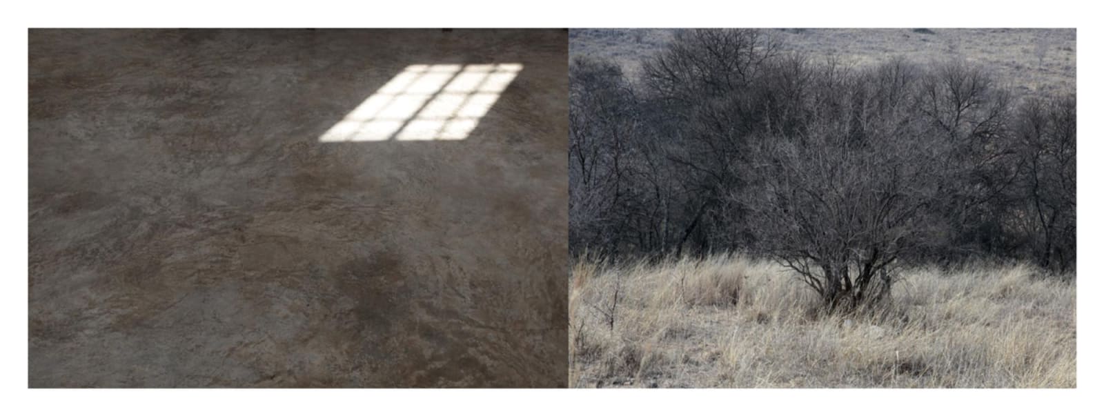 Atul Bhalla, Notes from the cradle-6, 2012