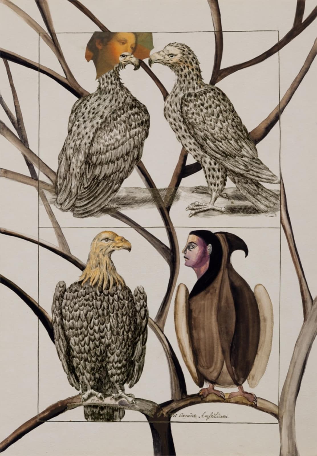 Anju Dodiya, Twins, 2014