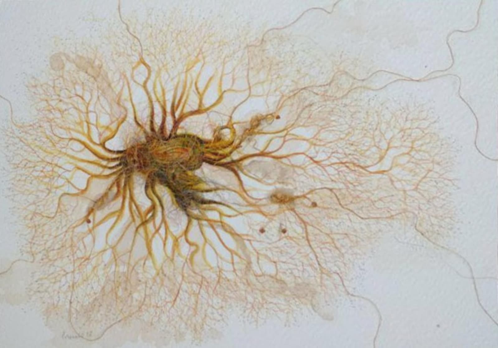 Pranati Panda, Organism, 2018