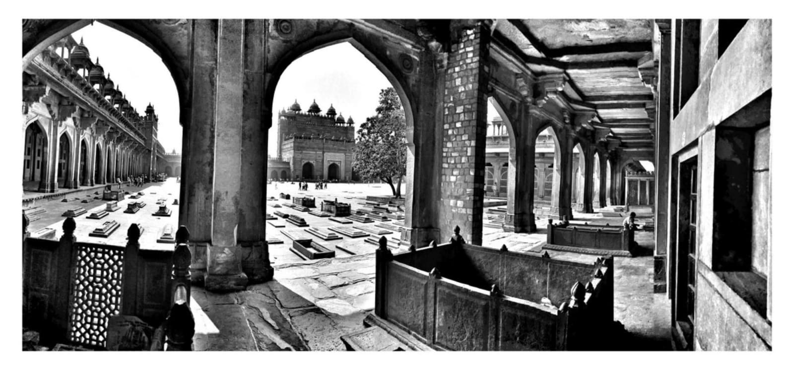 William Dalrymple, Untitled