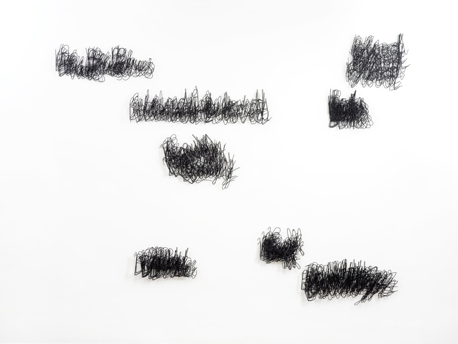 Anita Dube, Eight B Words, 2014/2015