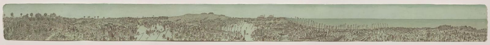 Gipin Varghese, Commonly Caught Species, 2013