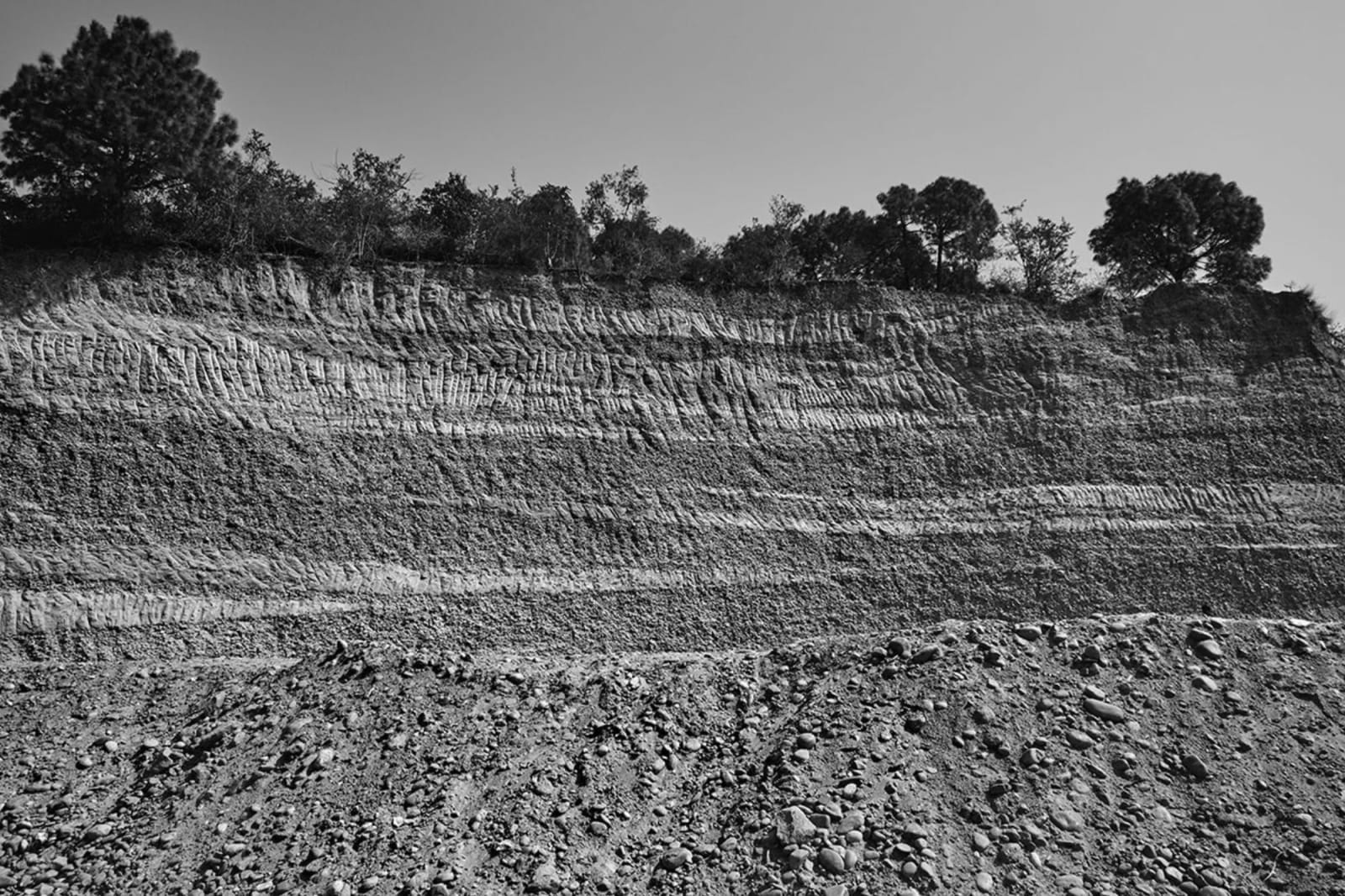 Vicky Roy, Untitled, 2016