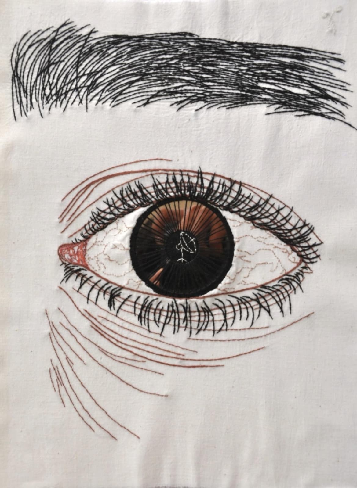 Rakhi Peswani, Envisioning the seer