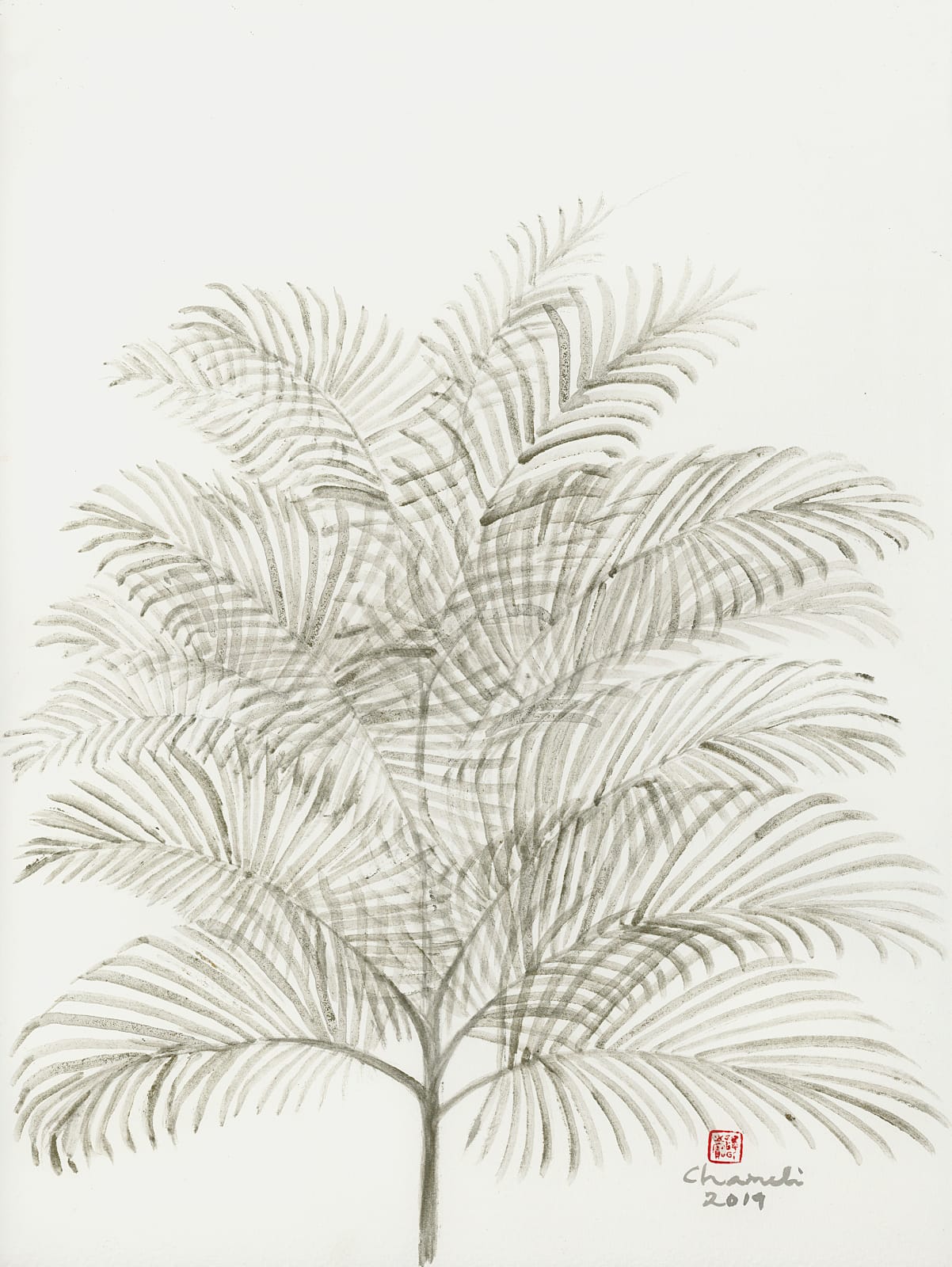 Chameli Ramachandran, Untitled, 2019