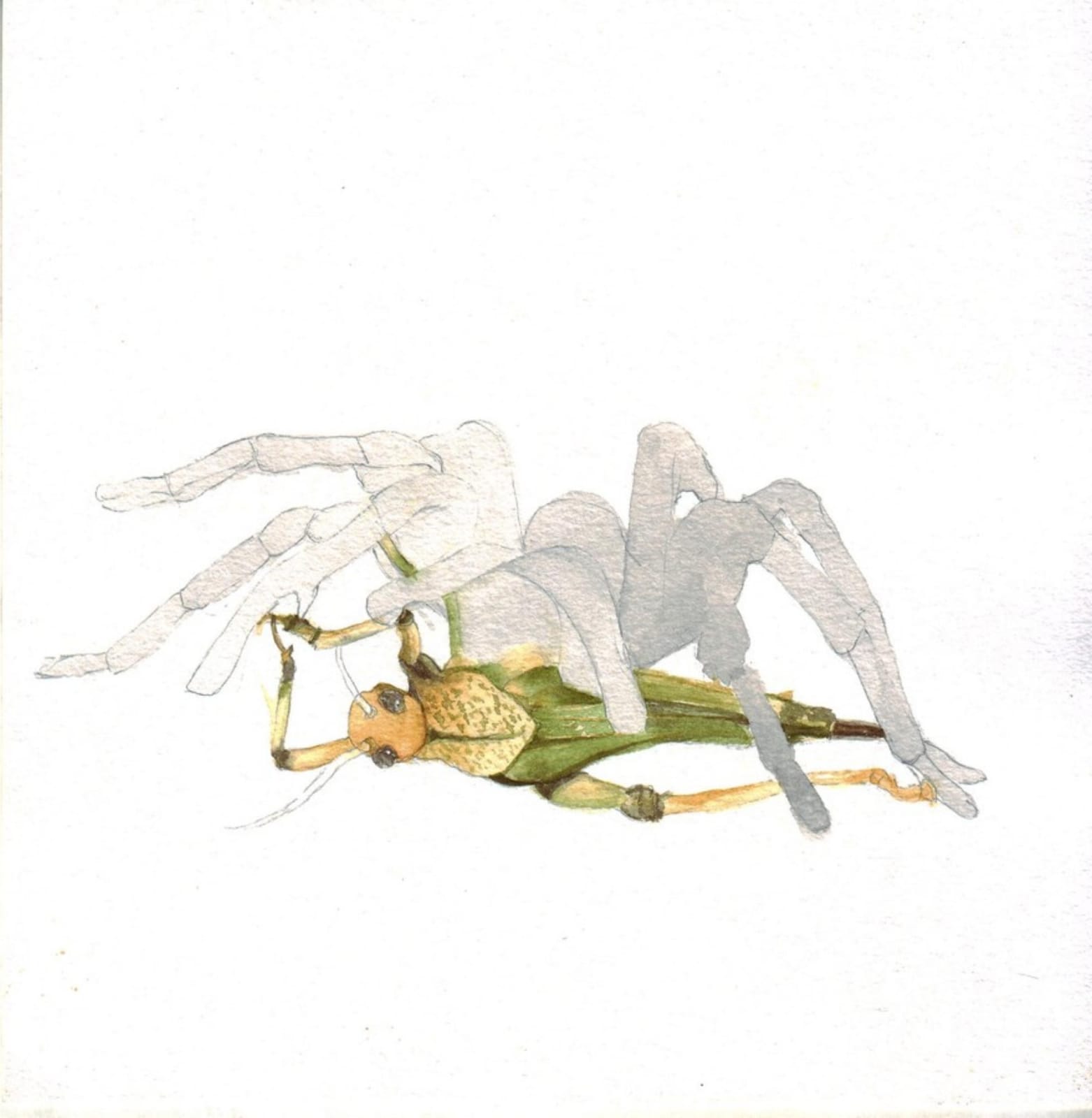 Pranati Panda, Weaving Land, 2017