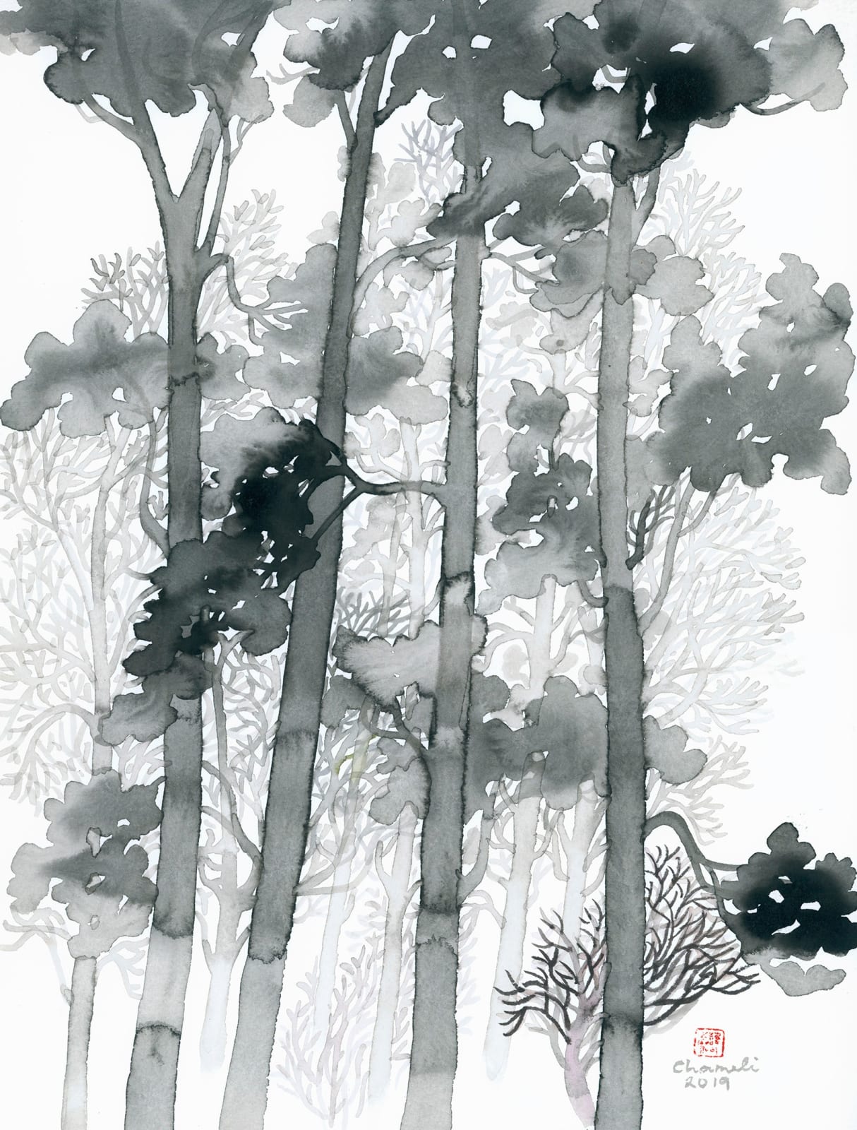 Chameli Ramachandran, Untitled, 2019
