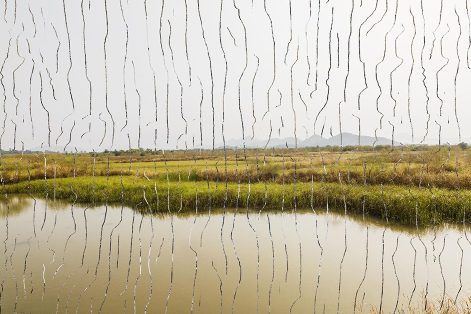 Atul Bhalla, Vaitarni Crossing I