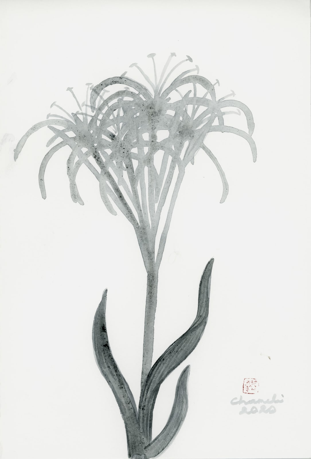 Chameli Ramachandran, Untitled, 2020