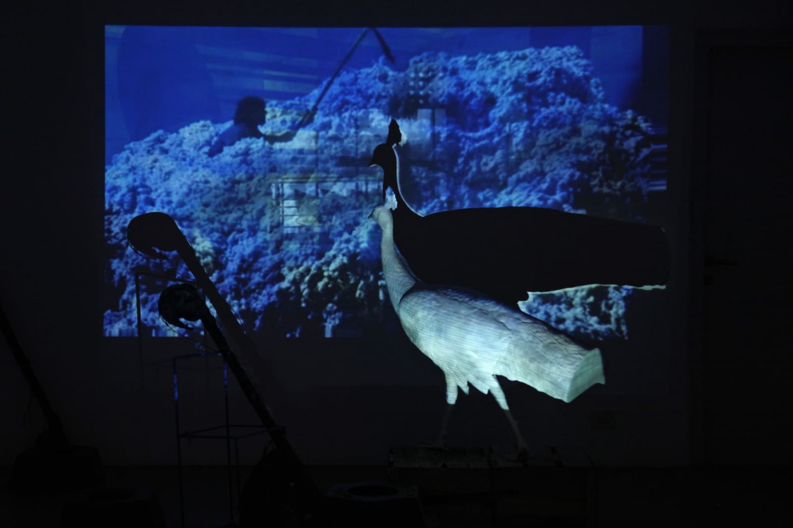 B.V. Suresh, Chronicles of Silence (Khamoshi ki Daastan), 2015