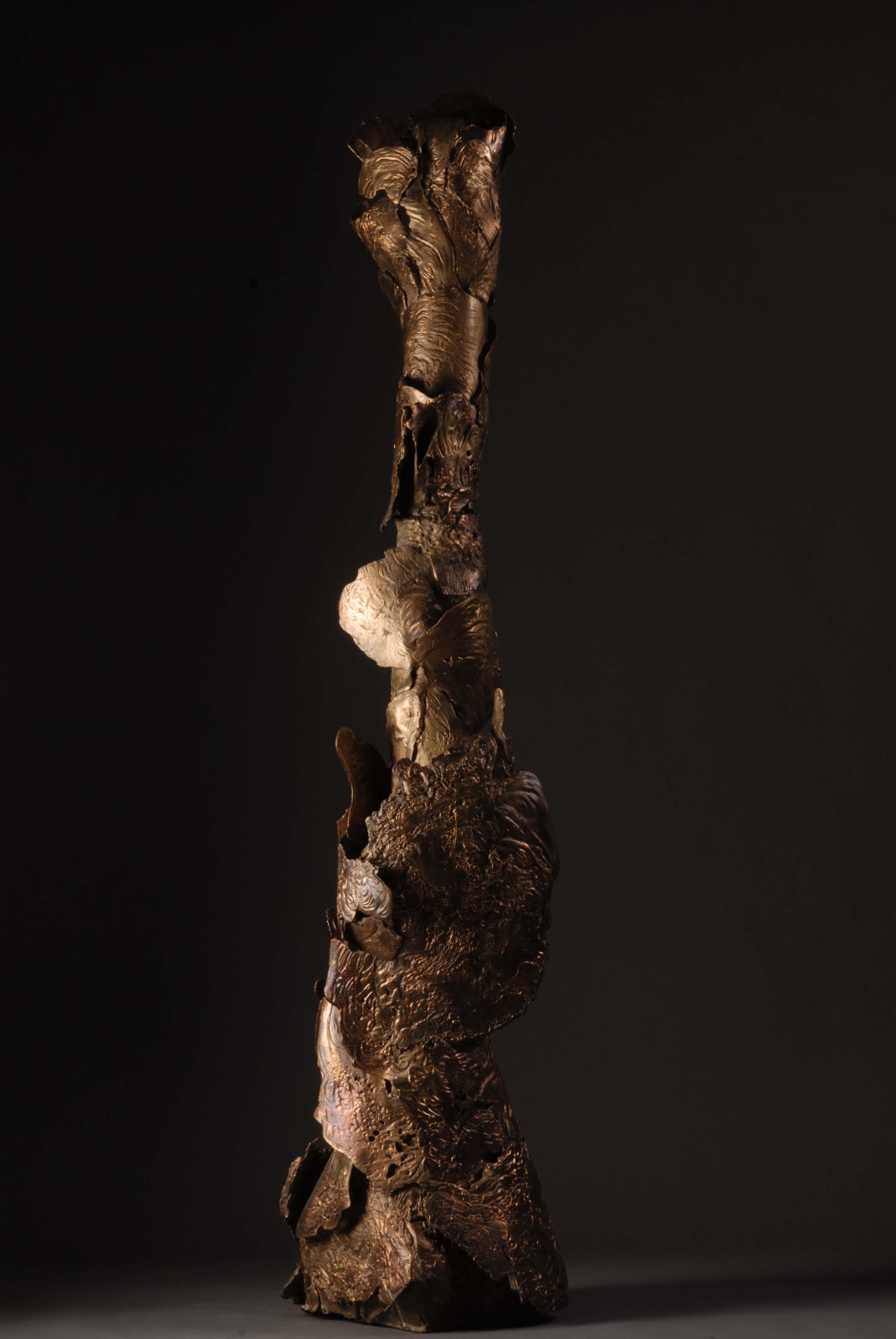 Mrinalini Mukherjee, Emergent -I, 2006