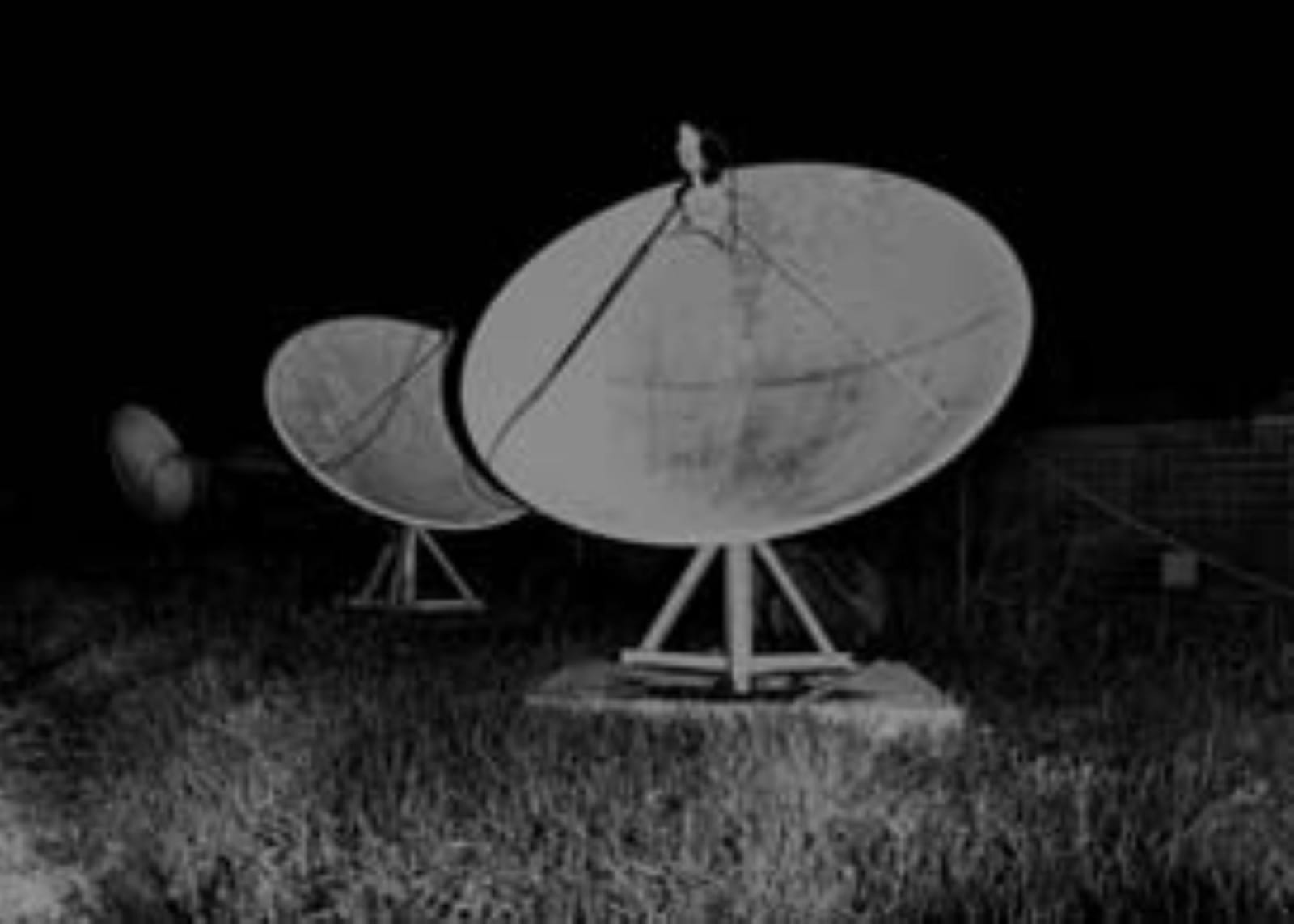 Pedro Macas, Untitled(Porobolic) The Storm that Bends the Birch Tree Series, 2014