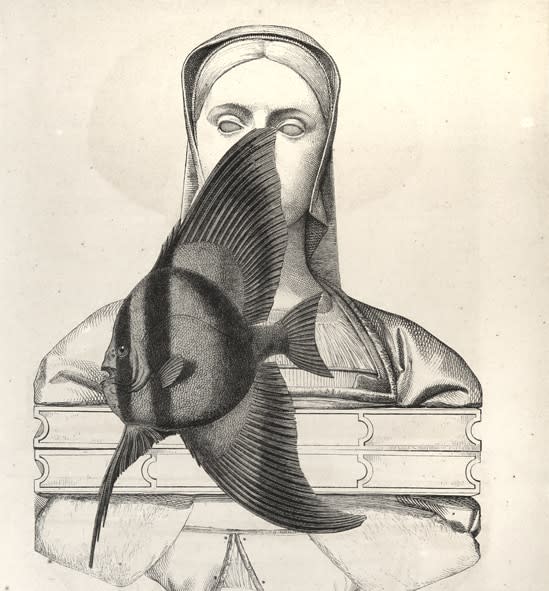 Juul Kraijer, Untitled, 2020