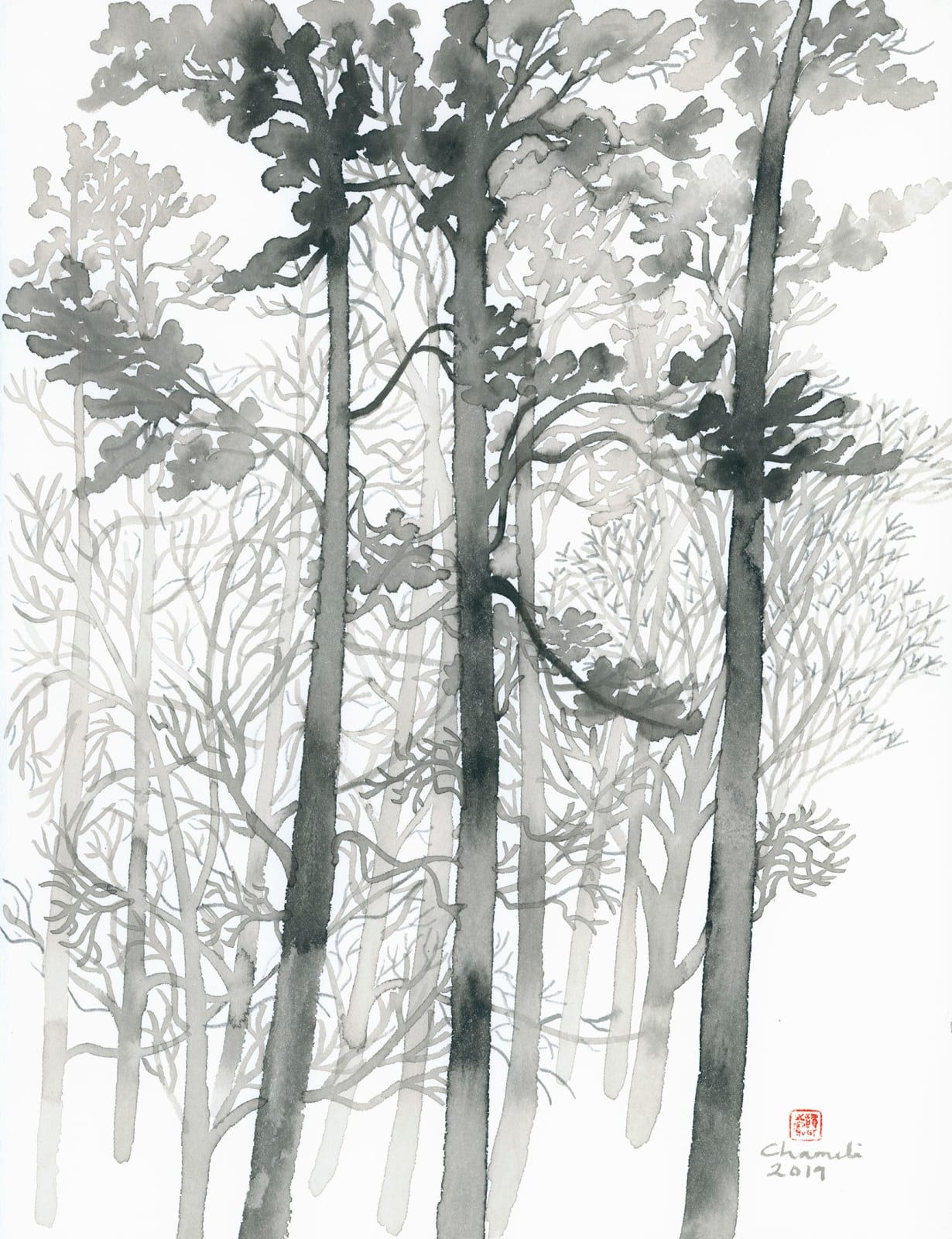 Chameli Ramachandran, Untitled, 2019