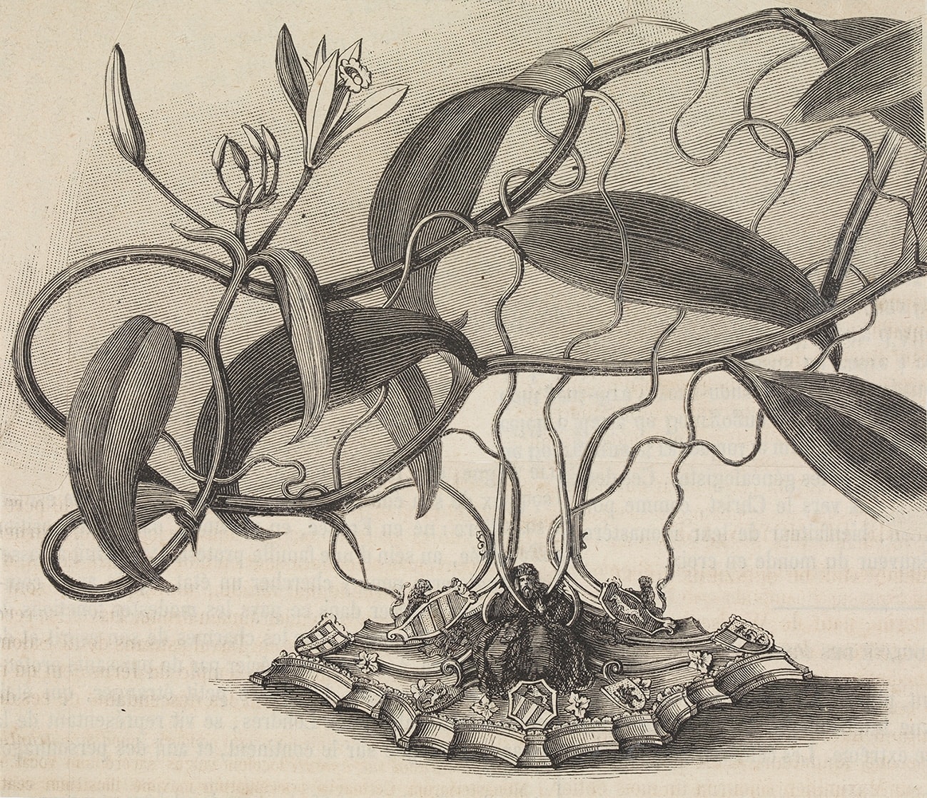 Juul Kraijer, Untitled , 2022