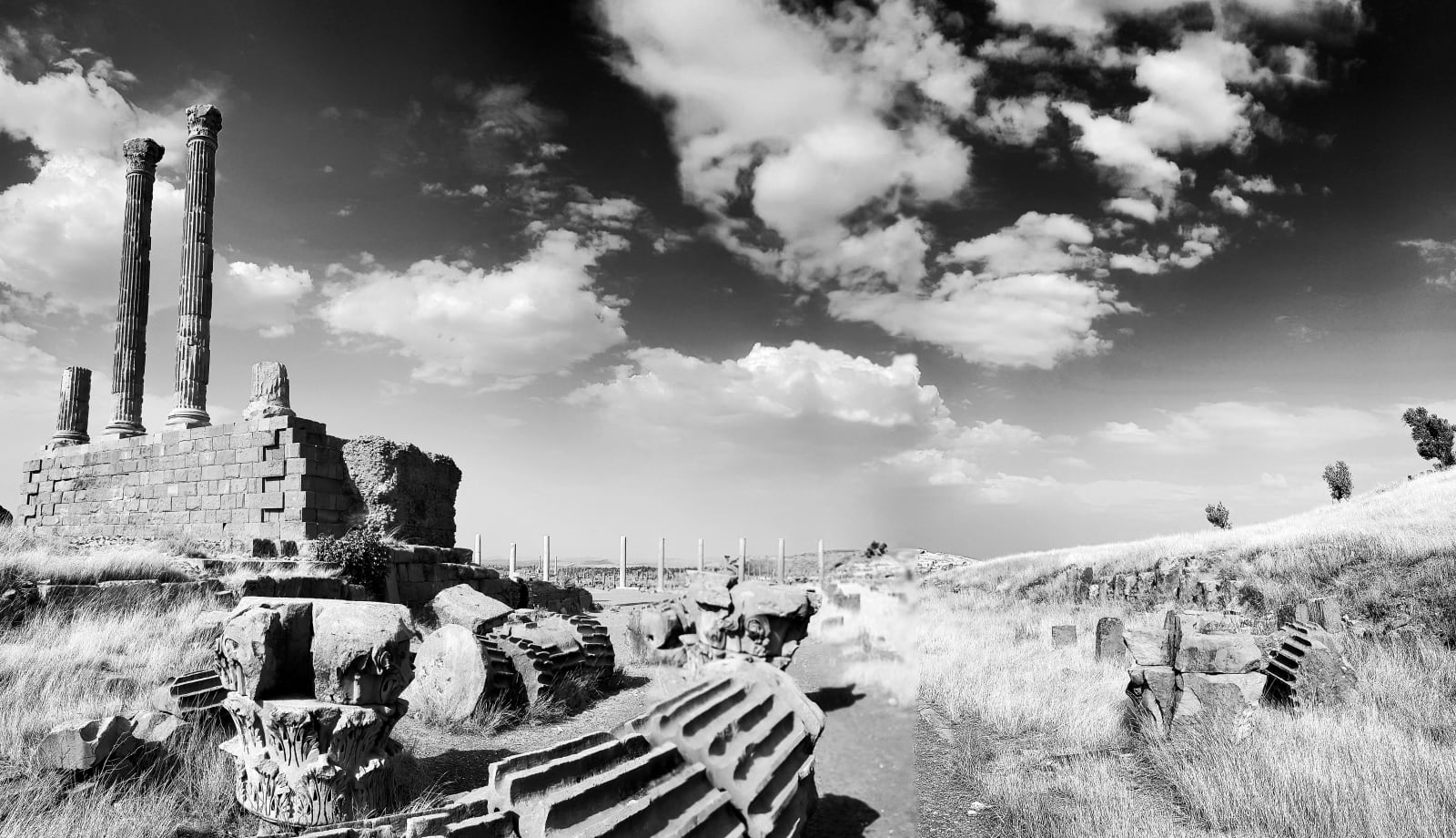William Dalrymple, The Capital, Timgad, Algeria