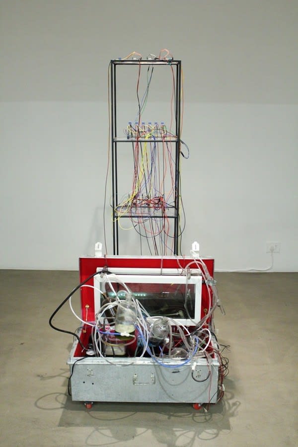 Moonis Shah, Delhi ke Paani Se Kaashmiri Paani Machine, 2019