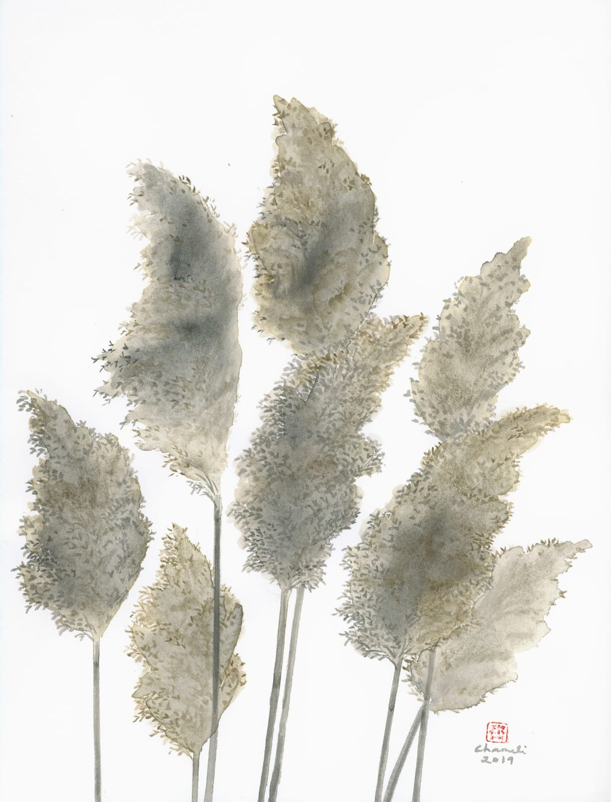 Chameli Ramachandran, Untitled, 2019