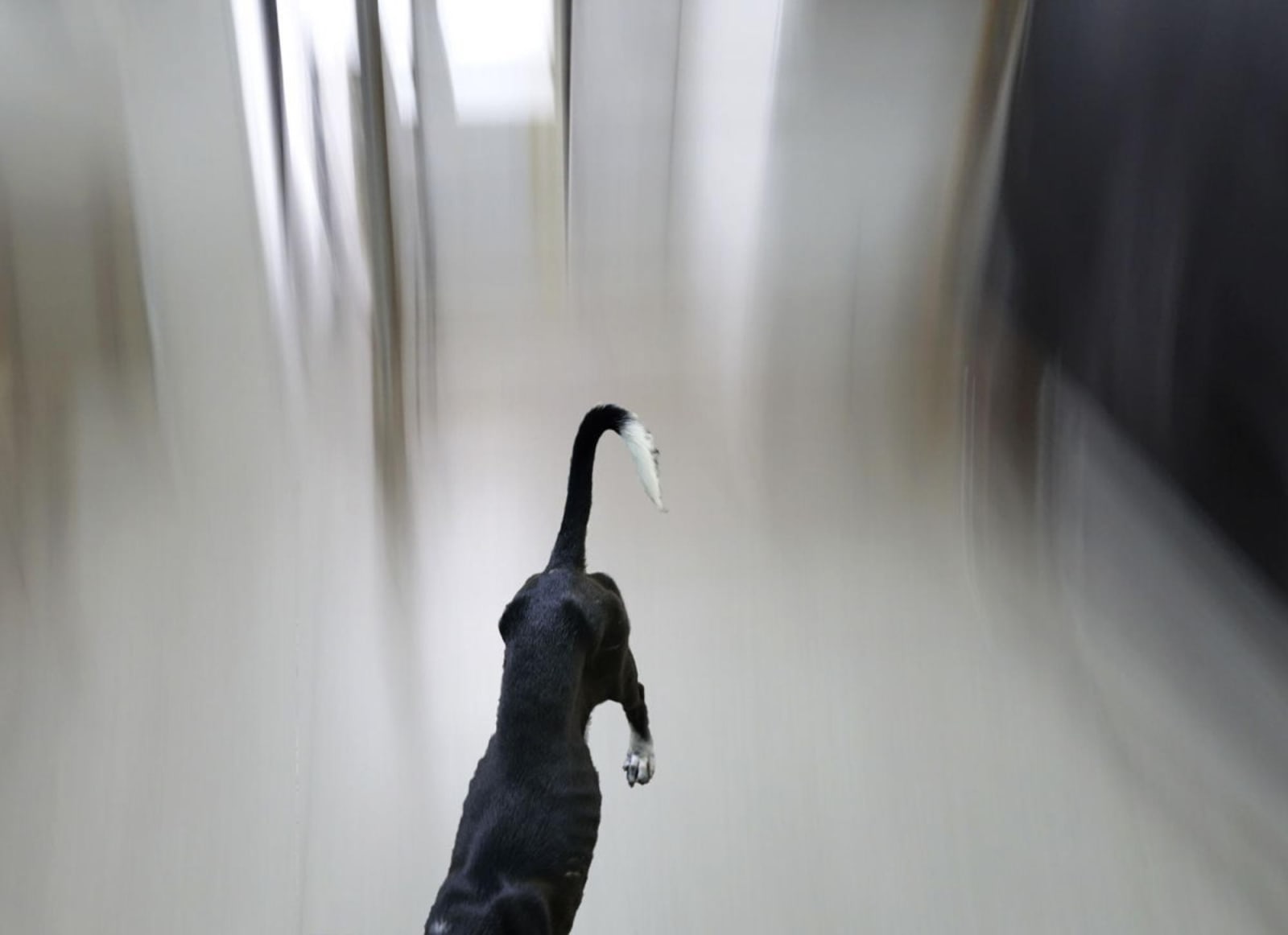 Rameshwar Broota, Untitled