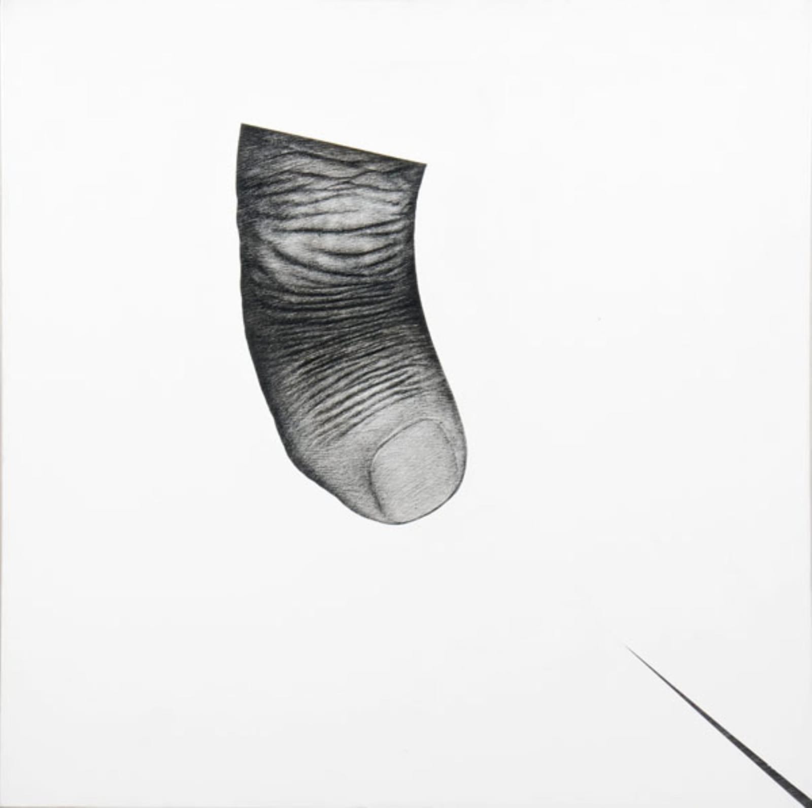 Rameshwar Broota, Resilience - I, 2008