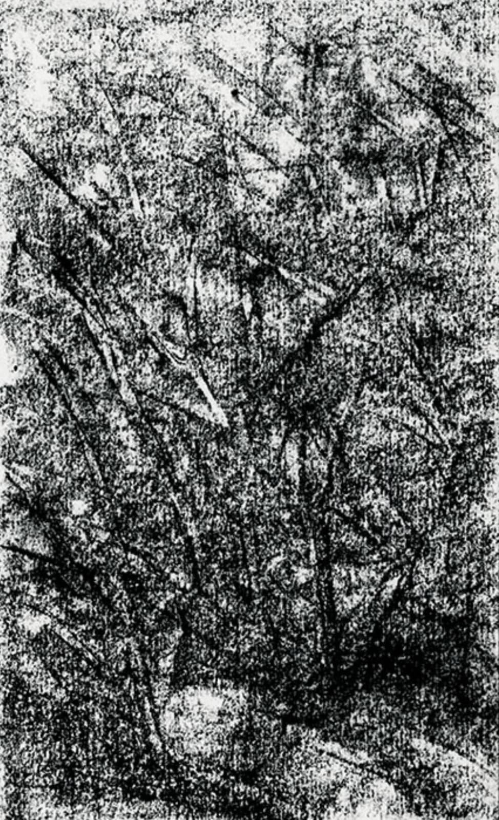 Paramjit Singh, Untitled, 2016