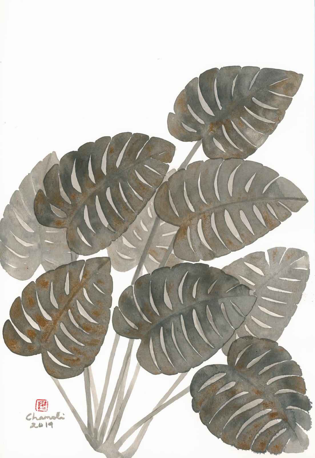 Chameli Ramachandran, Untitled, 2019