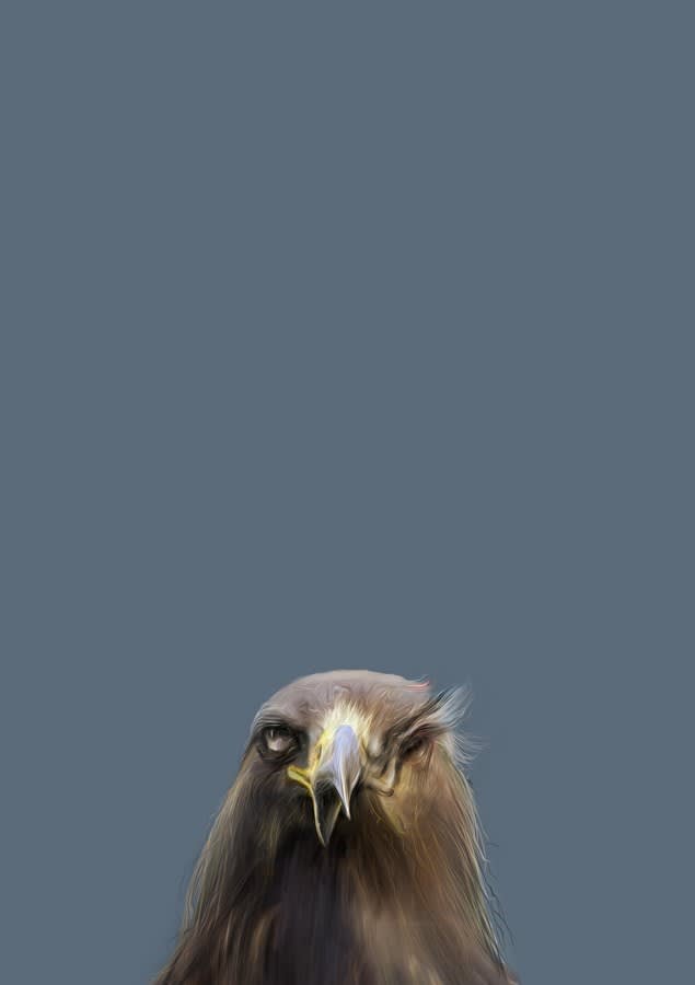 Moonis Shah, The Birds are Coming, 2019