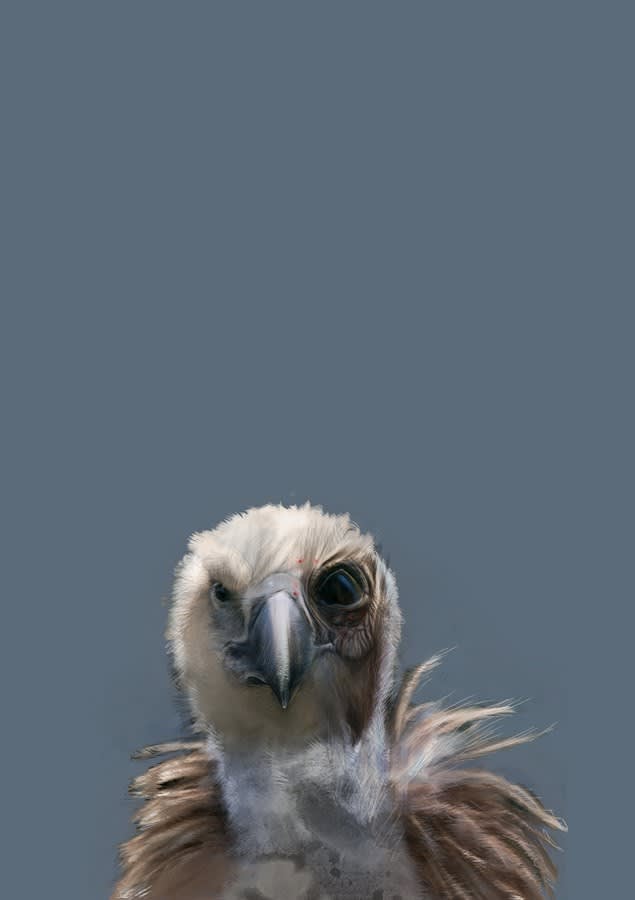 Moonis Shah, The Birds are Coming, 2017