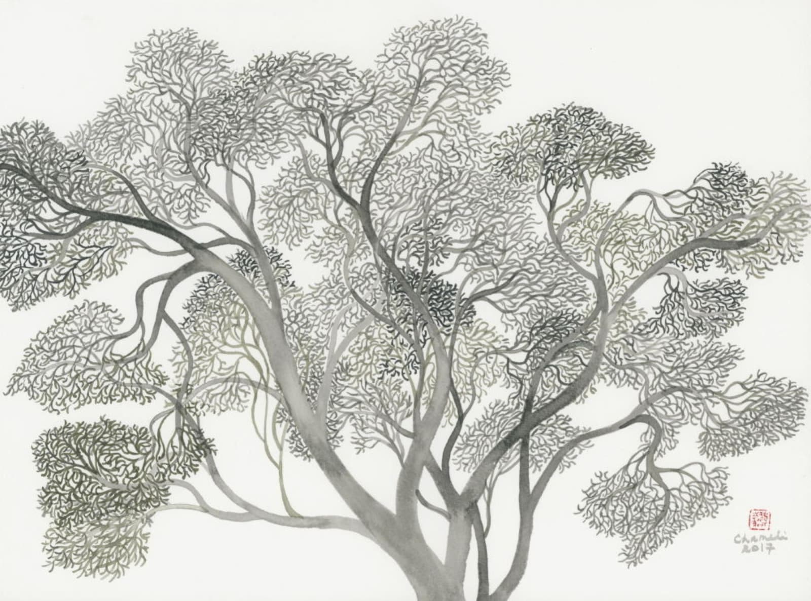 Chameli Ramachandran, Untitled, 2017