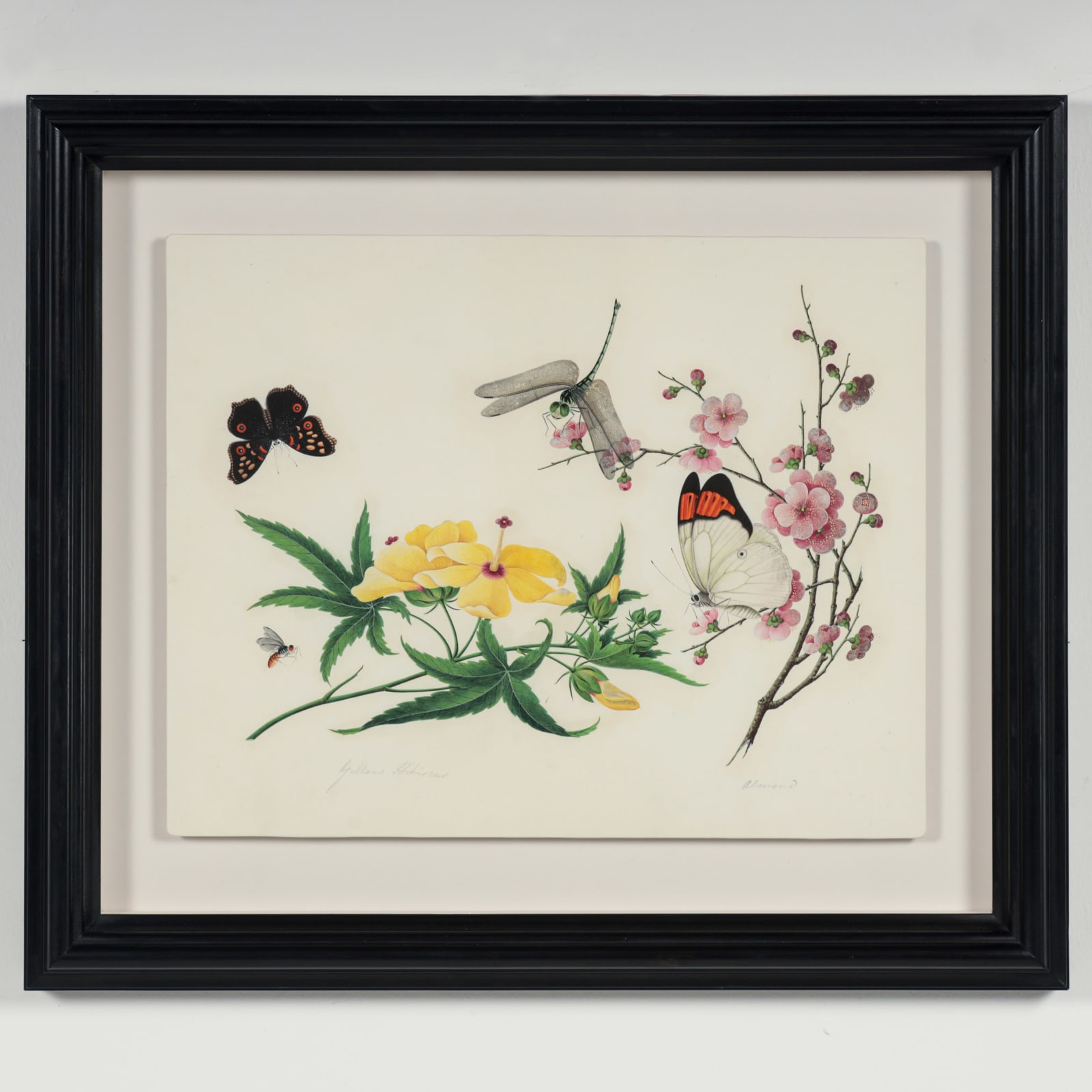 Chinese Watercolours , C.1815-20