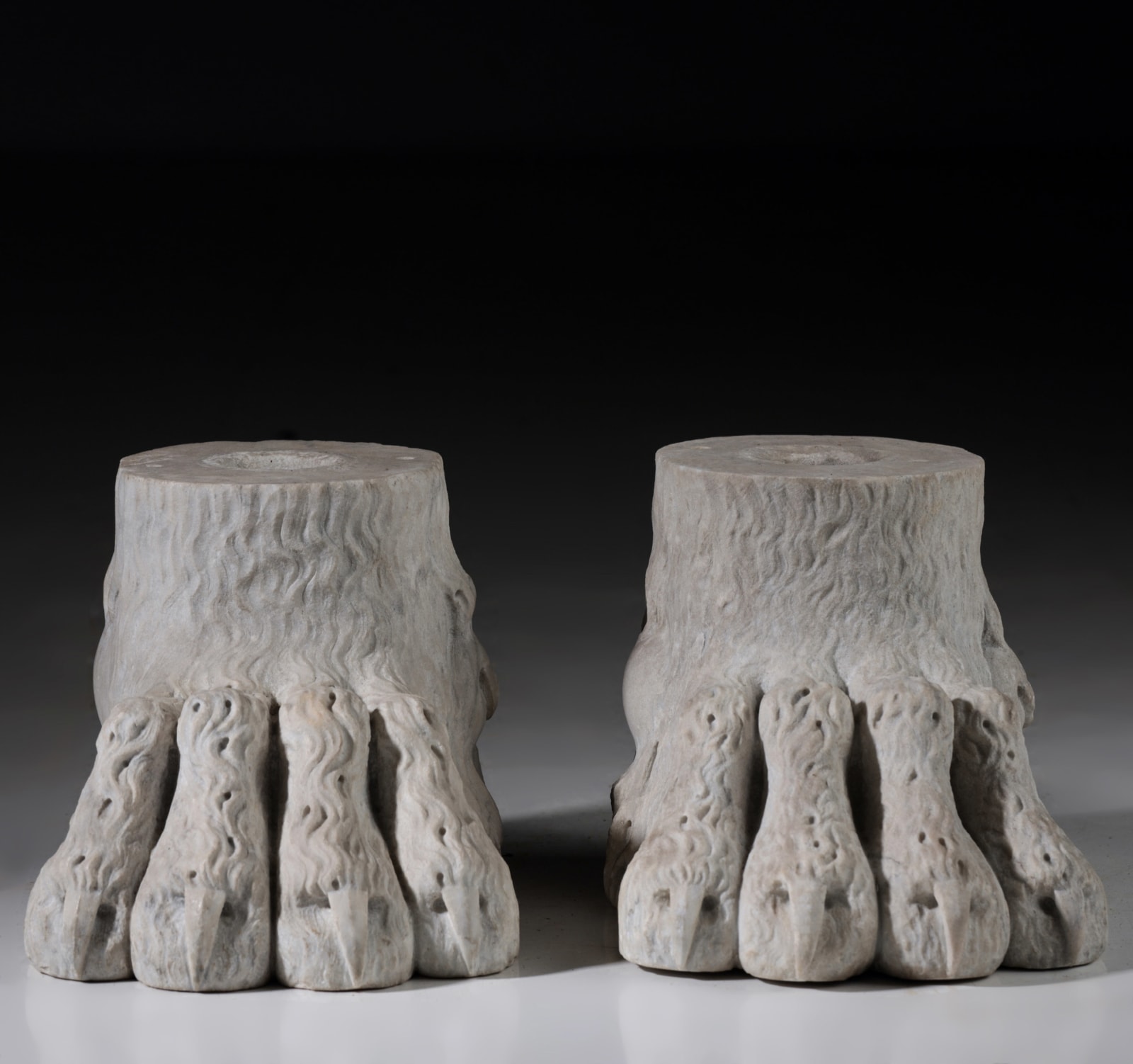 Lion paws , XIX century