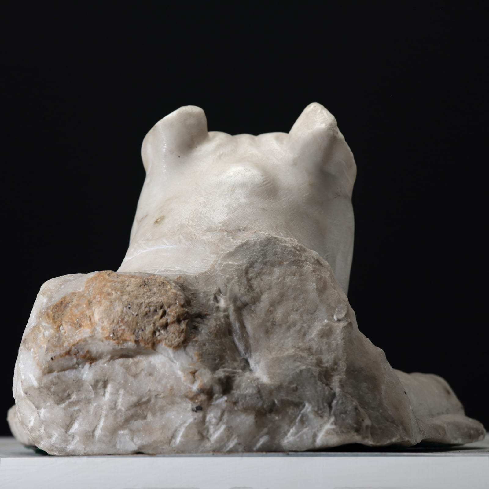 CANE CORSO , XVIII Century