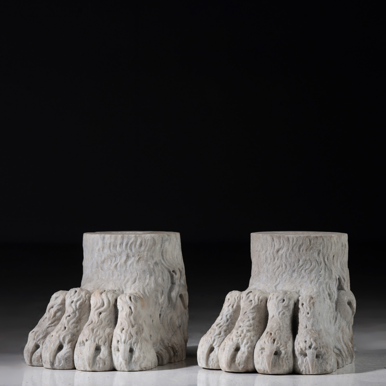 Lion paws , XIX century