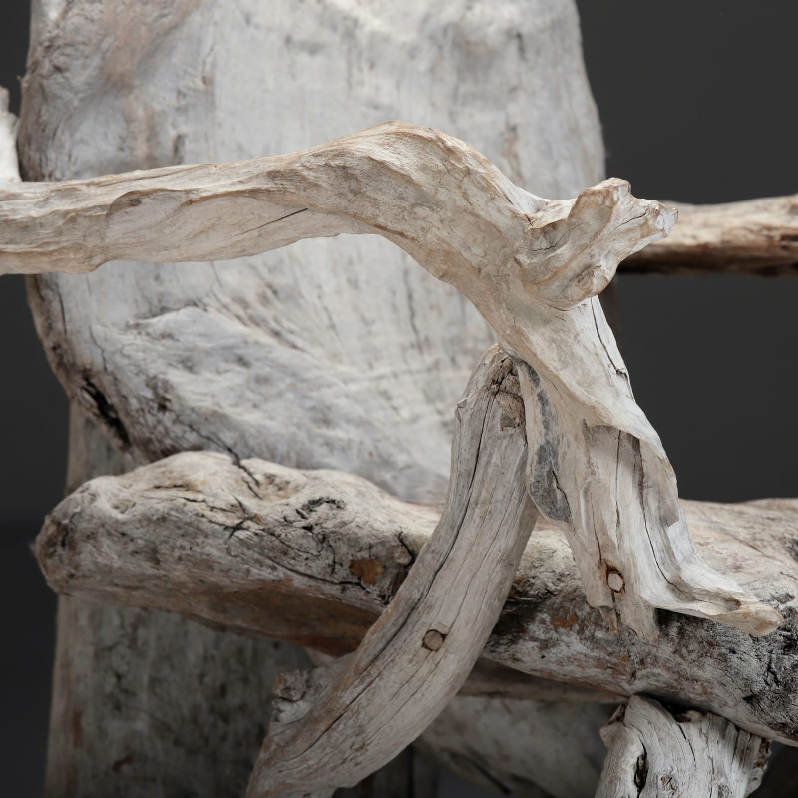 Driftwood Chair , XX Century