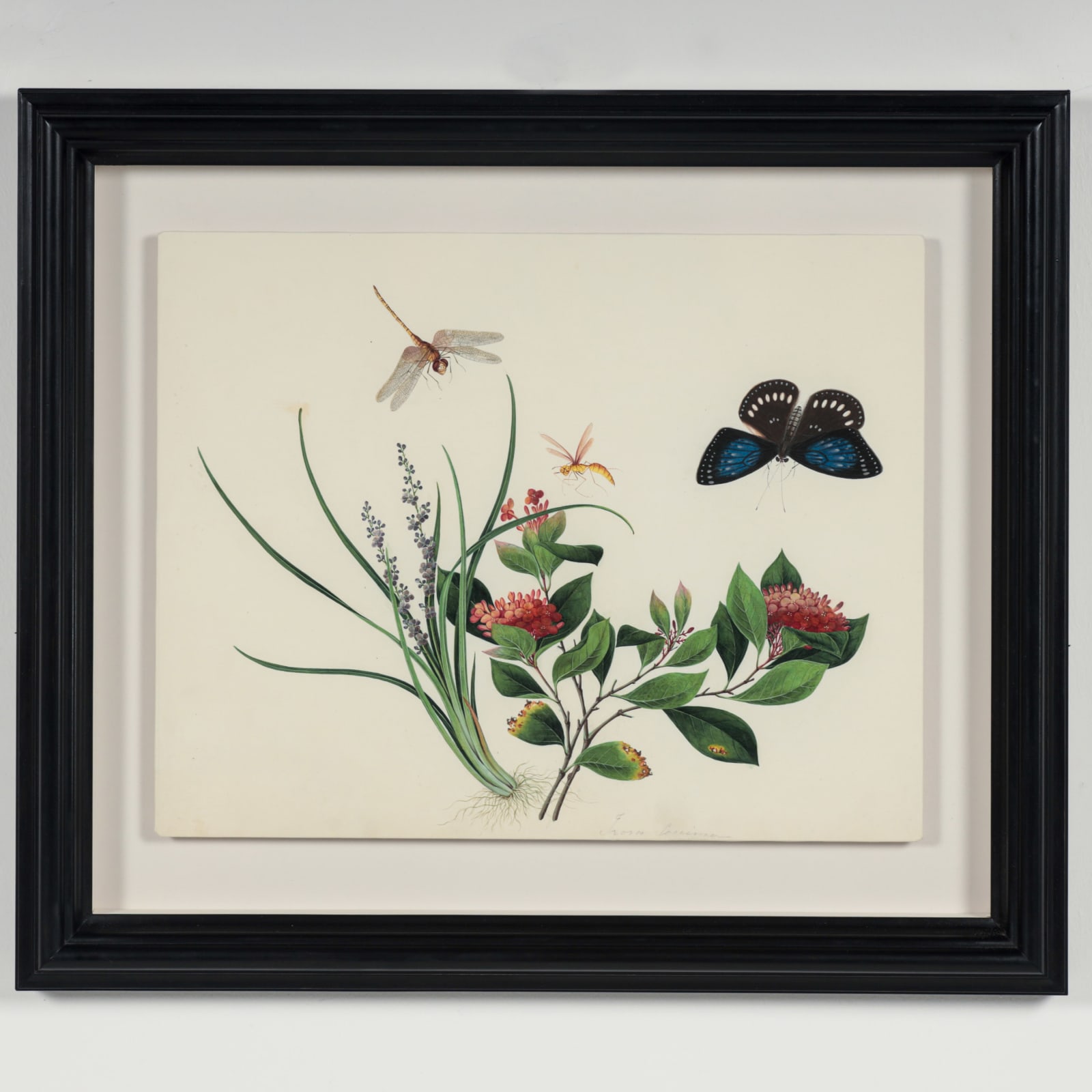 Chinese Watercolours , C.1815-20