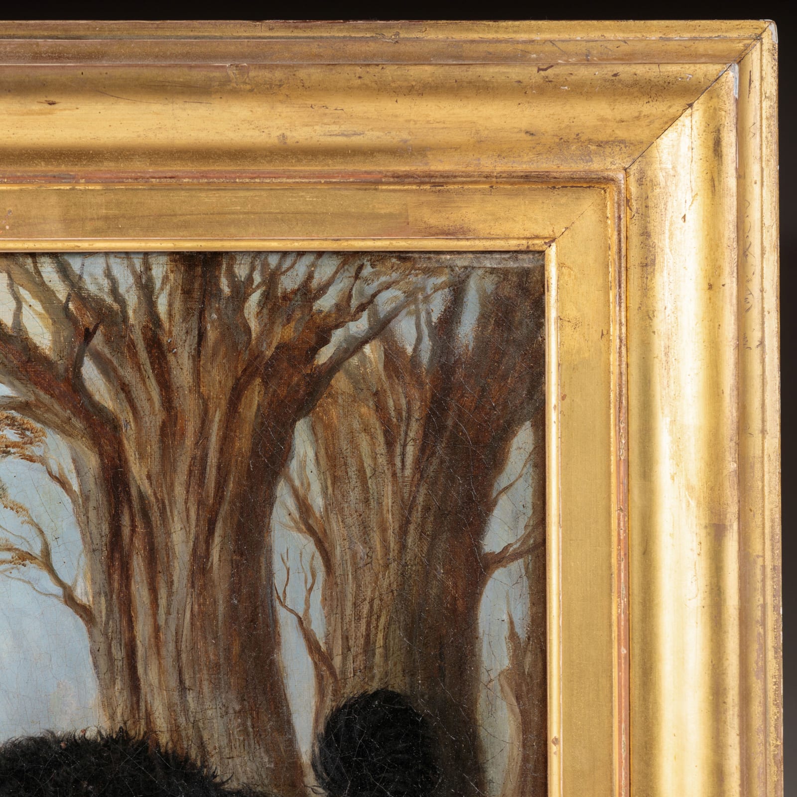 Dog Portrait , XIX Century