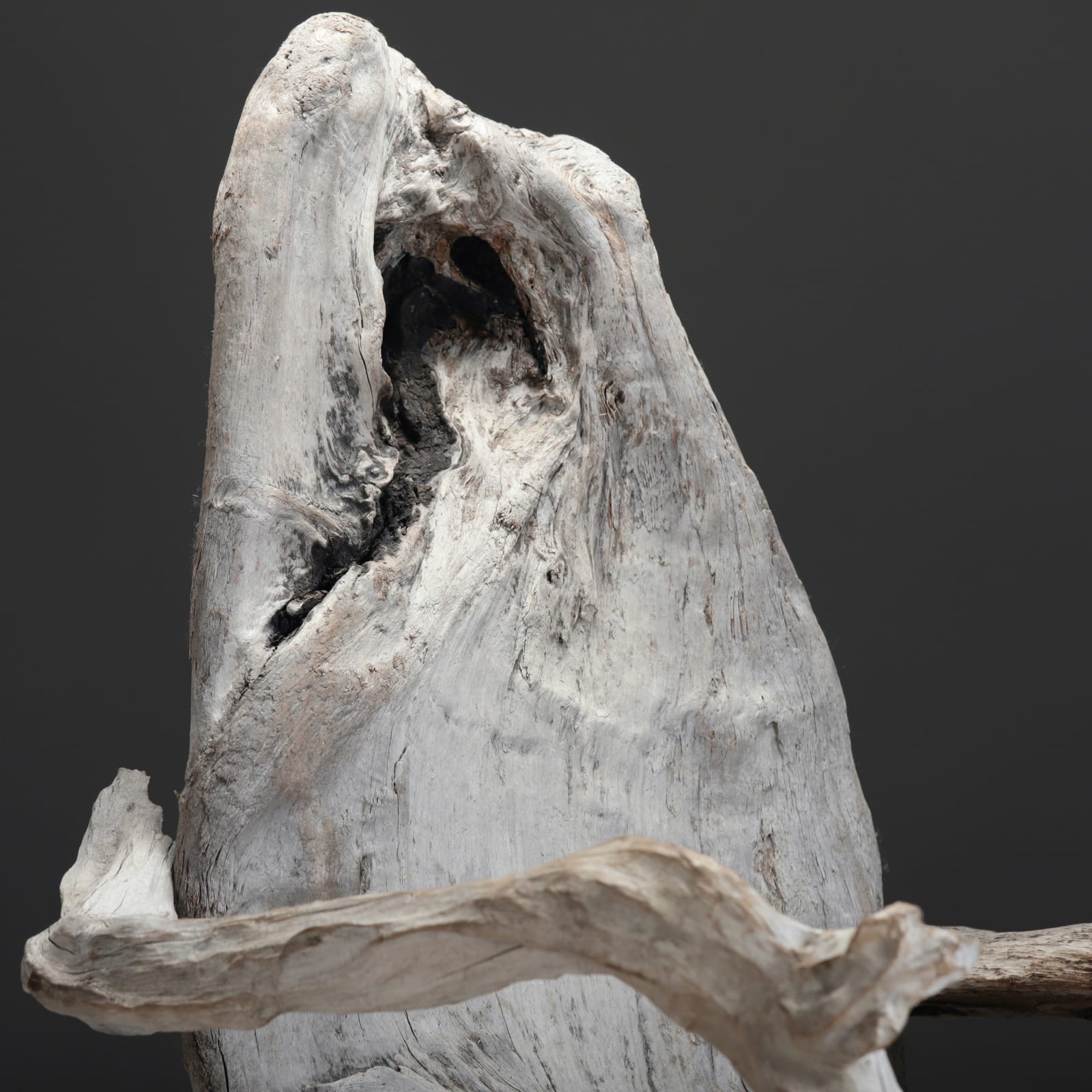 Driftwood Chair , XX Century