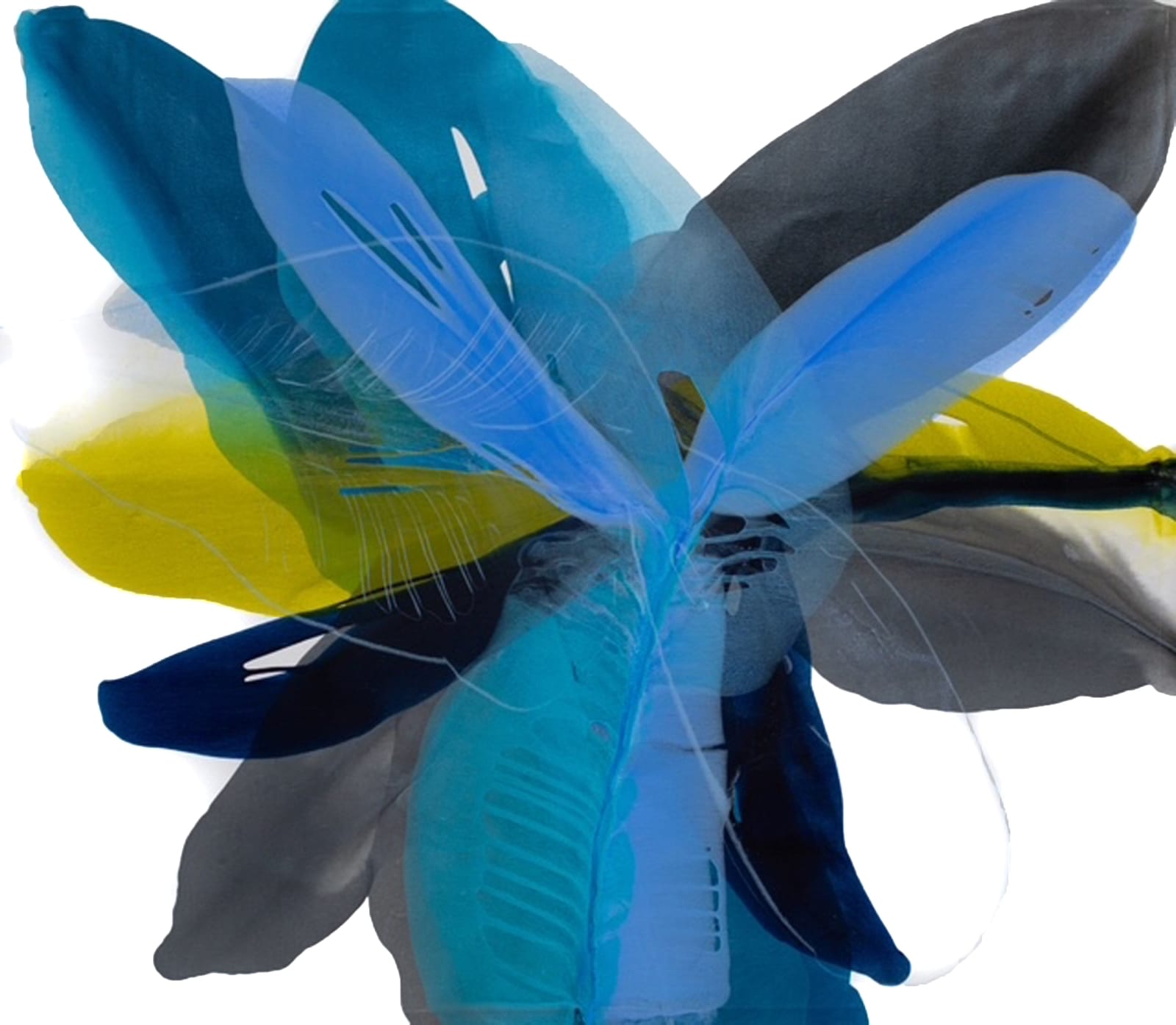 Vicki McFarland, Petrichor
