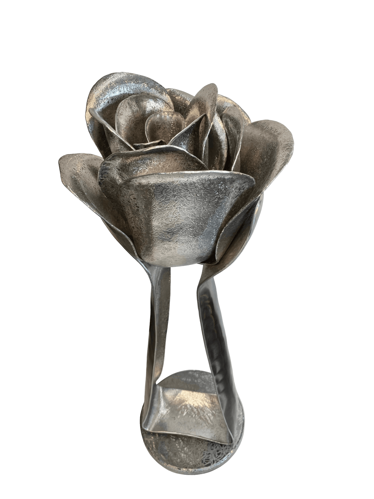 Vasil Nikov, Rose, 2025