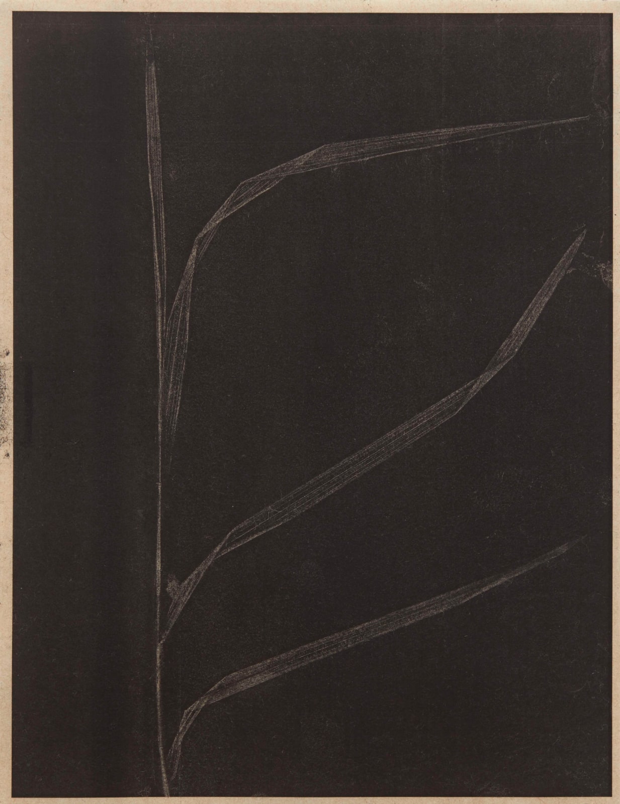 an abstract work on paper with black lines