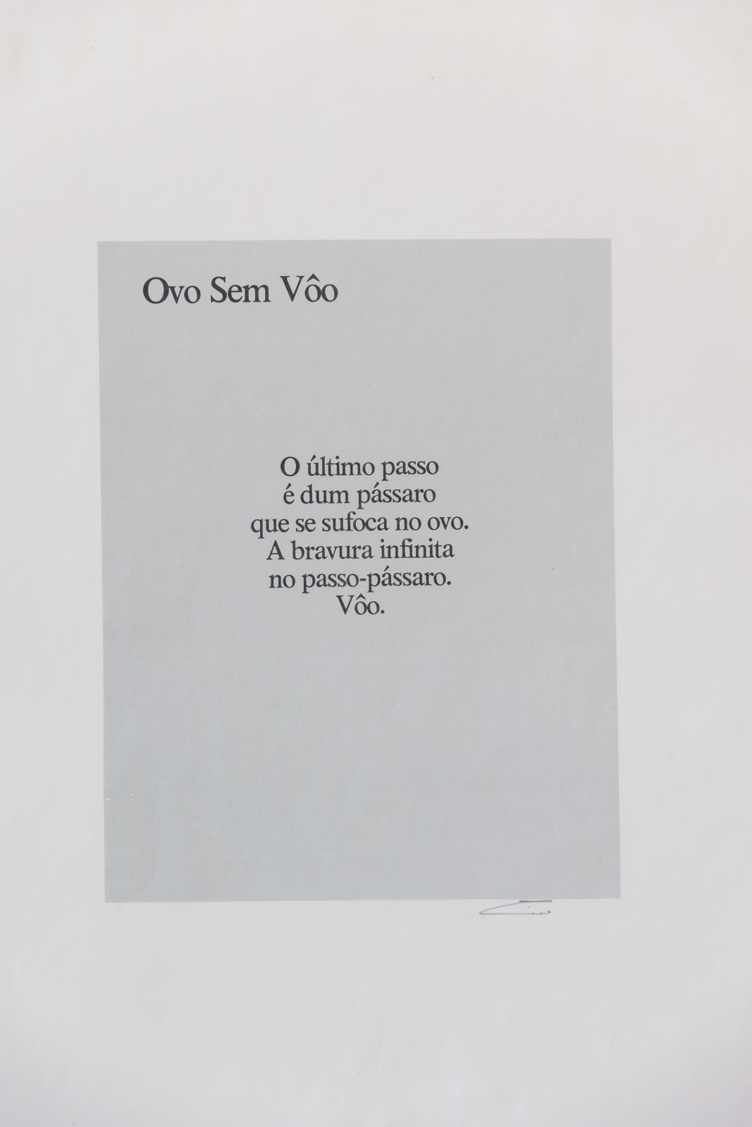 Siron Franco, CIRO PALMERSTON (POERMAS/GRAVURAS)