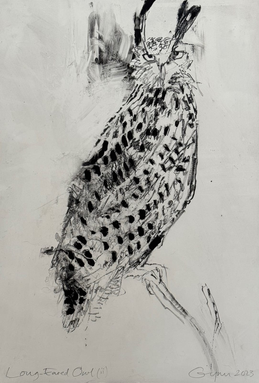 Frances Gynn RWA, Long-Eared Owl (I), 2023