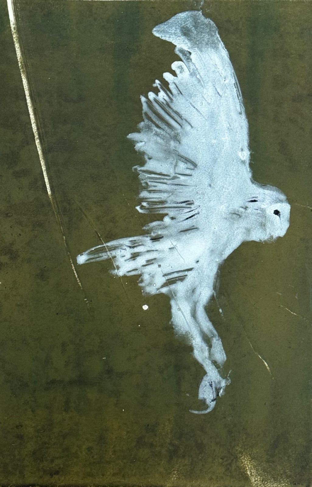 Frances Gynn RWA, Barn Owl (I), 2024