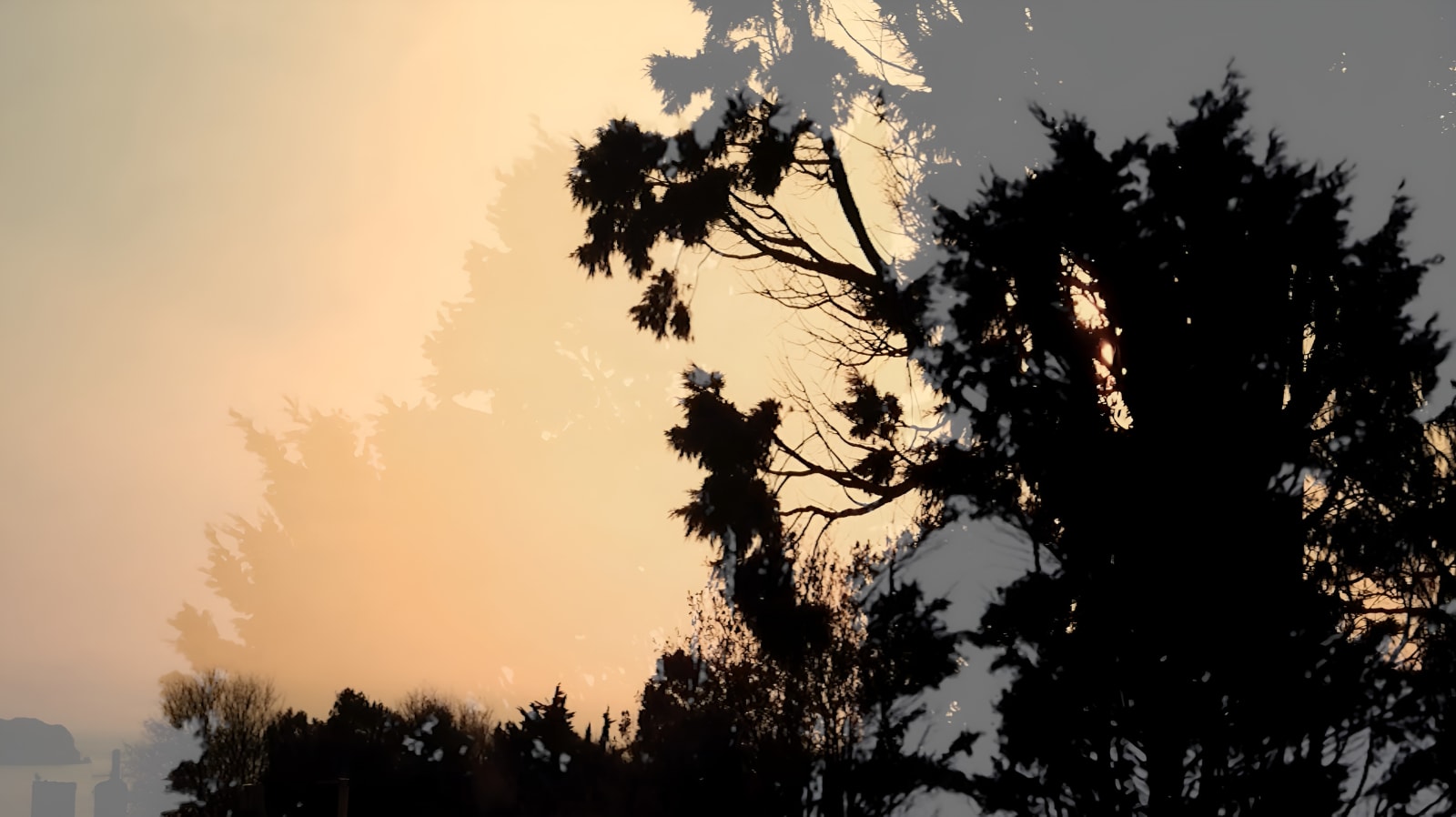 Malcolm Le Grice, Dark Trees (Film Still), 2024